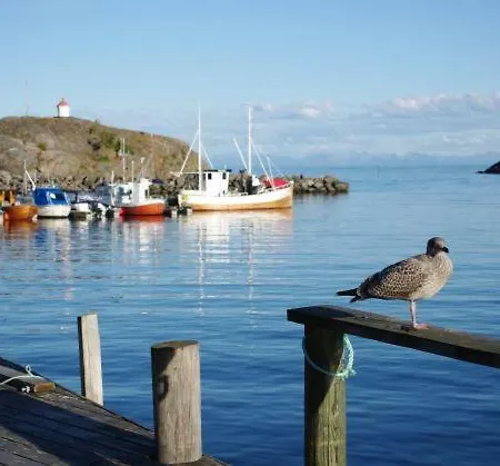 Lofoten And Kayak Lodge *
